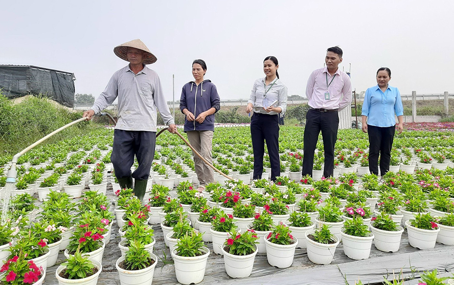 HCM City supports policy beneficiaries to escape poverty