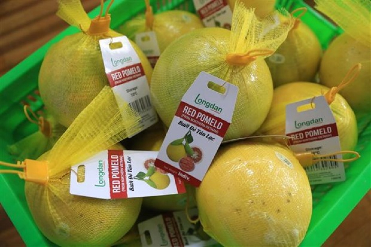 Hoa Binh province’s Tan Lac red-flesh grapefruit was first exported to UK