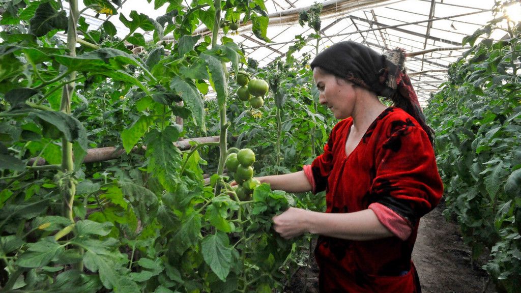 CAREC ministers endorse new green recovery, food security, and clean energy cooperation initiatives