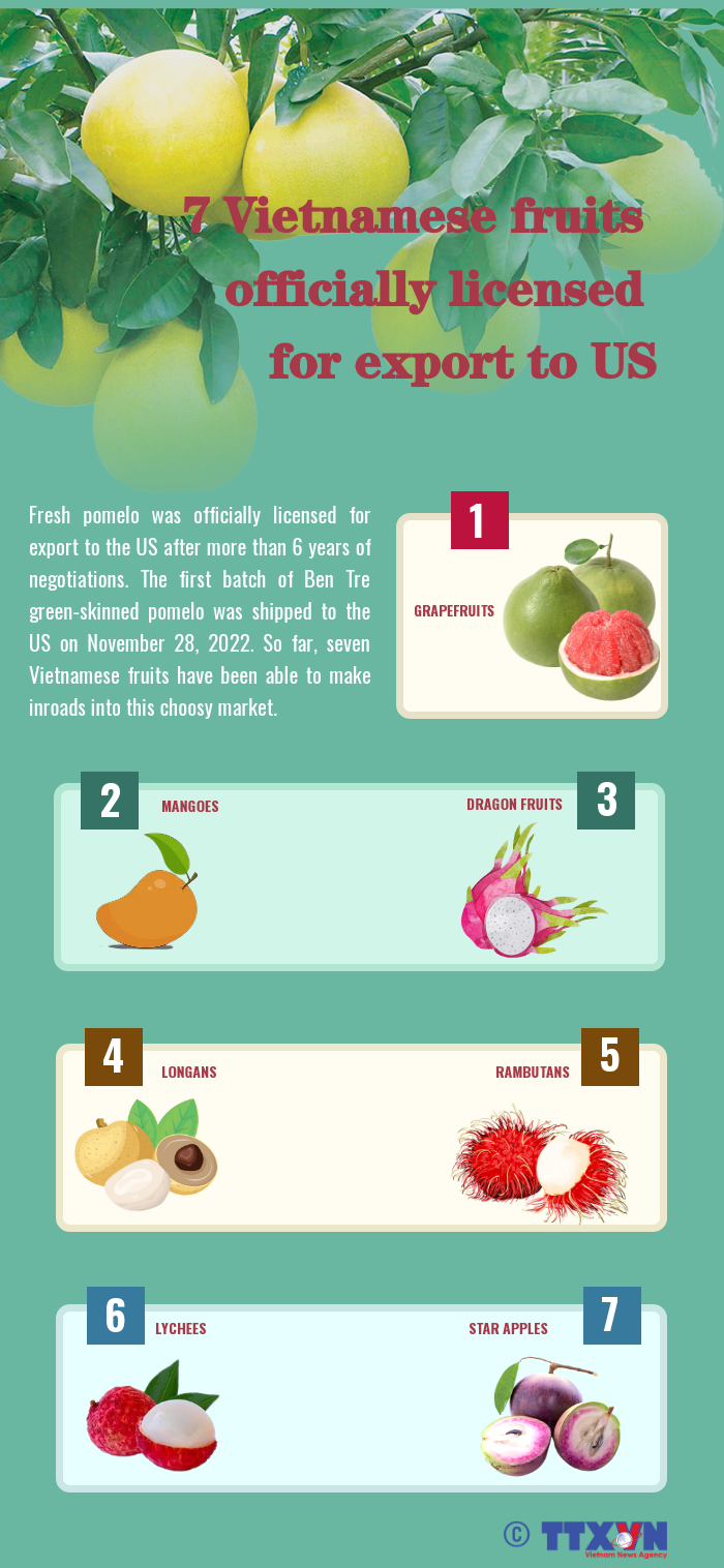 Seven Vietnamese fruits officially licensed for export to US