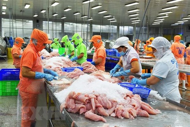 Over 90 of Tra fish on sale in US are from Vietnam