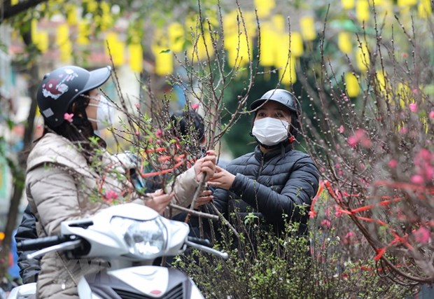 91 spring flower markets to open in Hanoi from January 1-21