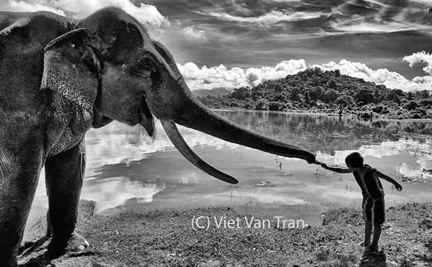 Vietnamese photographer wins two silvers at New York Photography Awards