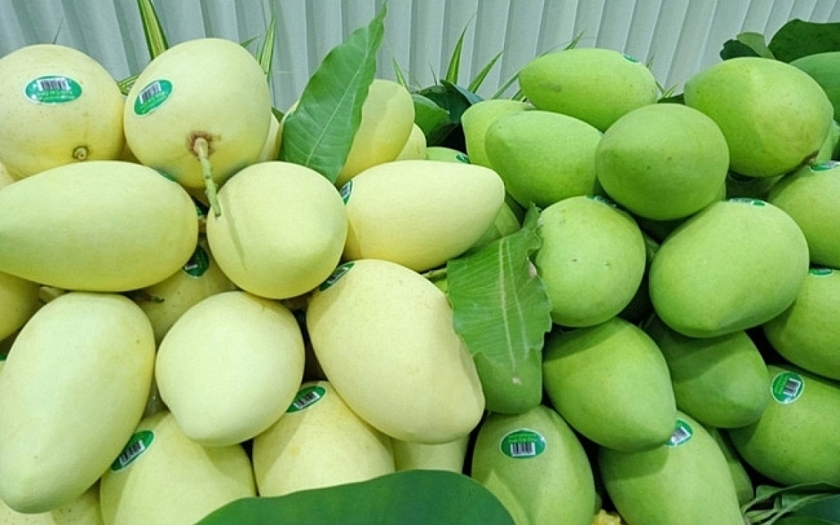 Vietnam’s 1,700 tonnes of mangoes exported to RoK