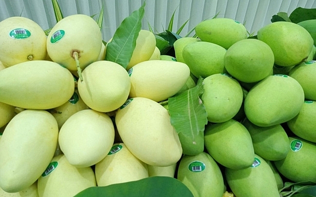 Vietnam among Top 3 mango suppliers to RoK