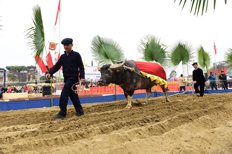 Long Tong festival of Tay ethnic people in northern mountainous Tuyen Quang province