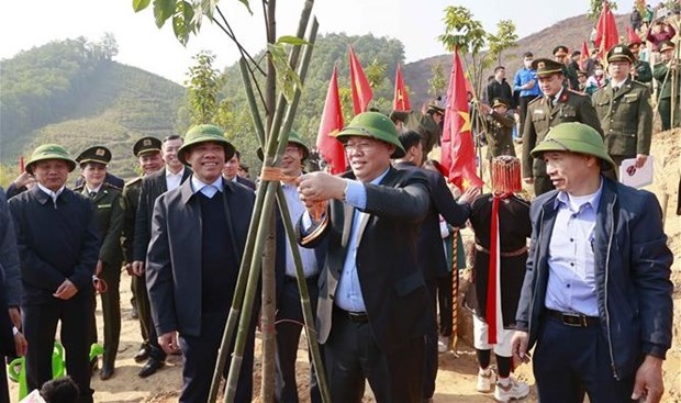 NA leader launches emulation drive, tree planting festival in Tuyen Quang