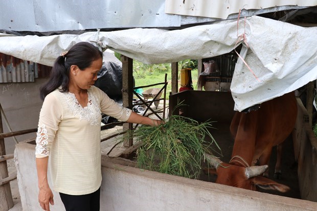 Long An province reduces poverty with efficient credit programme