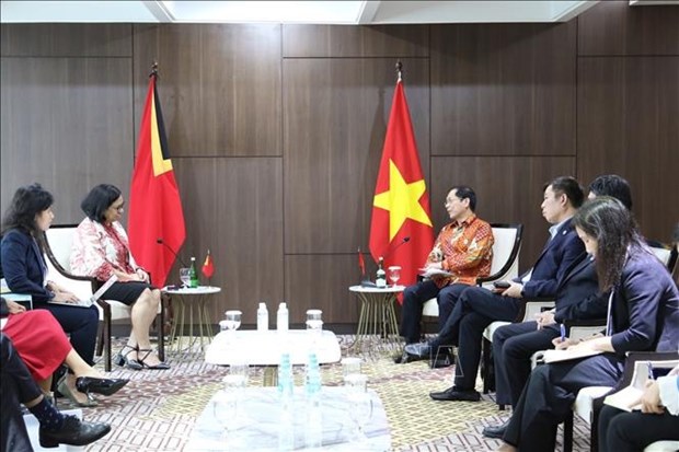 Vietnam to help Timor Leste soon become official member of ASEAN FM