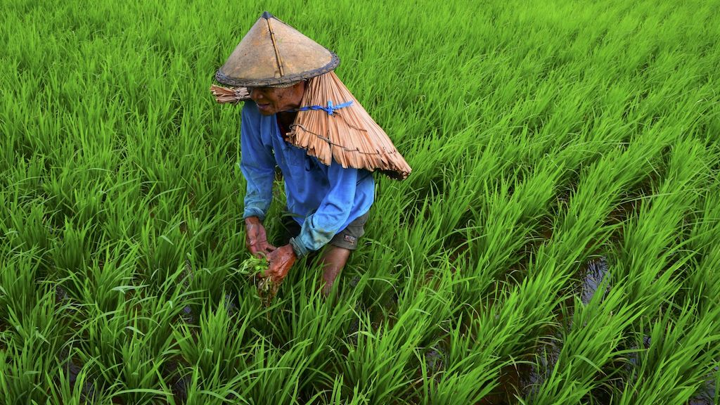 USD500 million ADB loan to support Philippine agriculture sector reforms