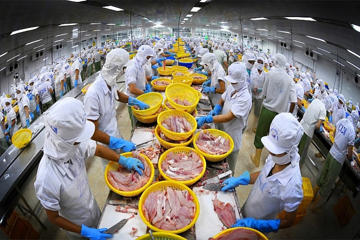 Vietnam remains third largest seafood supplier to Republic of Korea last year