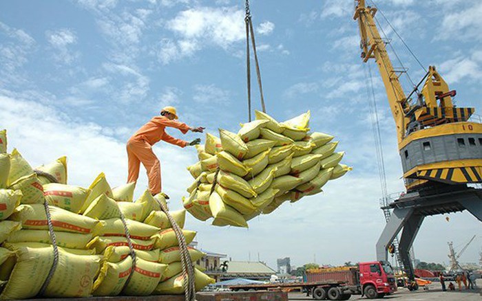 Rice exports worth 203 million USD in first month of 2023