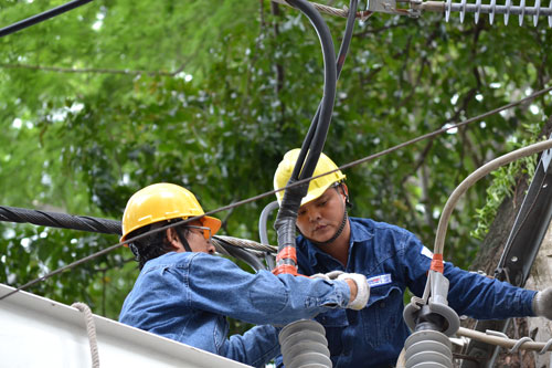 Ho Chi Minh City Power firm listed among world’s 50 smart grid index