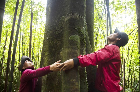 First community forest in Vietnam granted international certificate