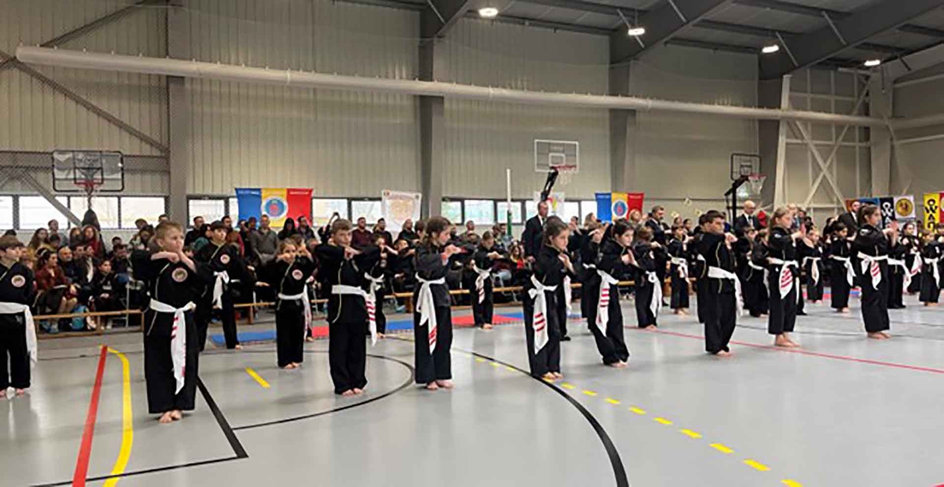 Vietnamese martial arts loved in Romania