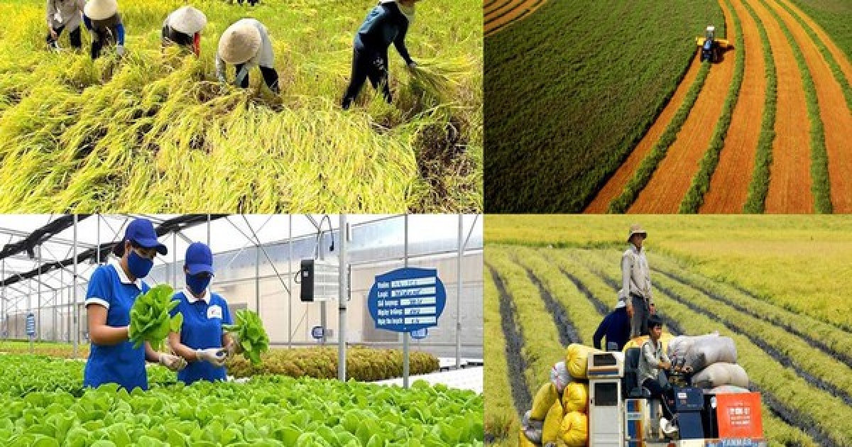 Agricultural sector aims for US 25 billion in FDI by 2030