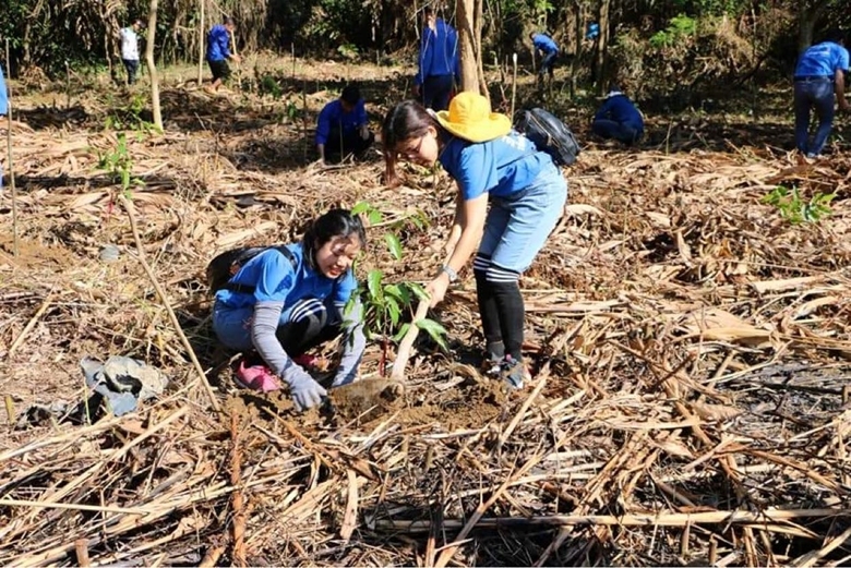 Country plants 8,100 hectares of forest in January