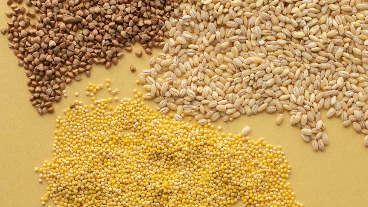 Vietnam’s Agri VMA Company opens its branch in Cuba