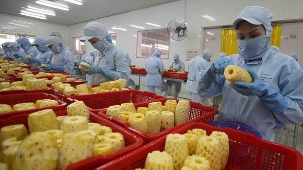 Fruit, vegetable exports see high potential, tough requirements