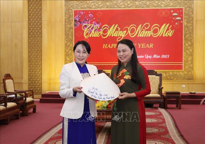 Ninh Binh wishes to strengthen cooperation with diverse Japanese localities
