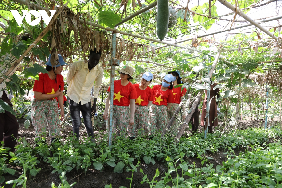 Vietnamese green beret female soldiers help people in Abyei develop agriculture