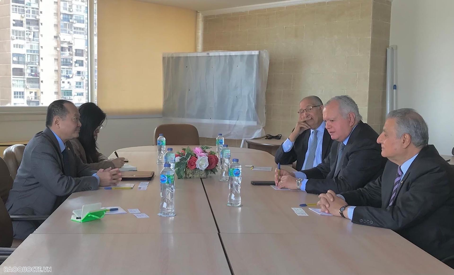 Vietnamese Ambassador works with Egyptian Council for Foreign Affairs