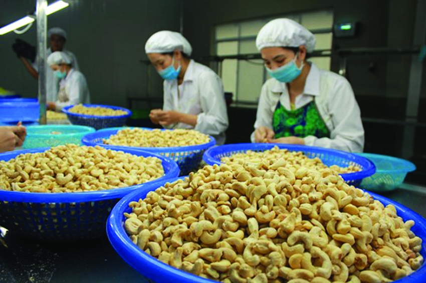 Vietnam among Laos biggest export and import markets