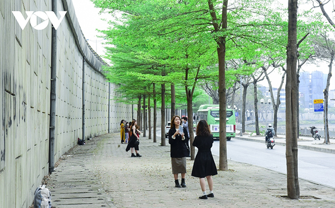 Diverse activities across Vietnam mark International Day of Happiness