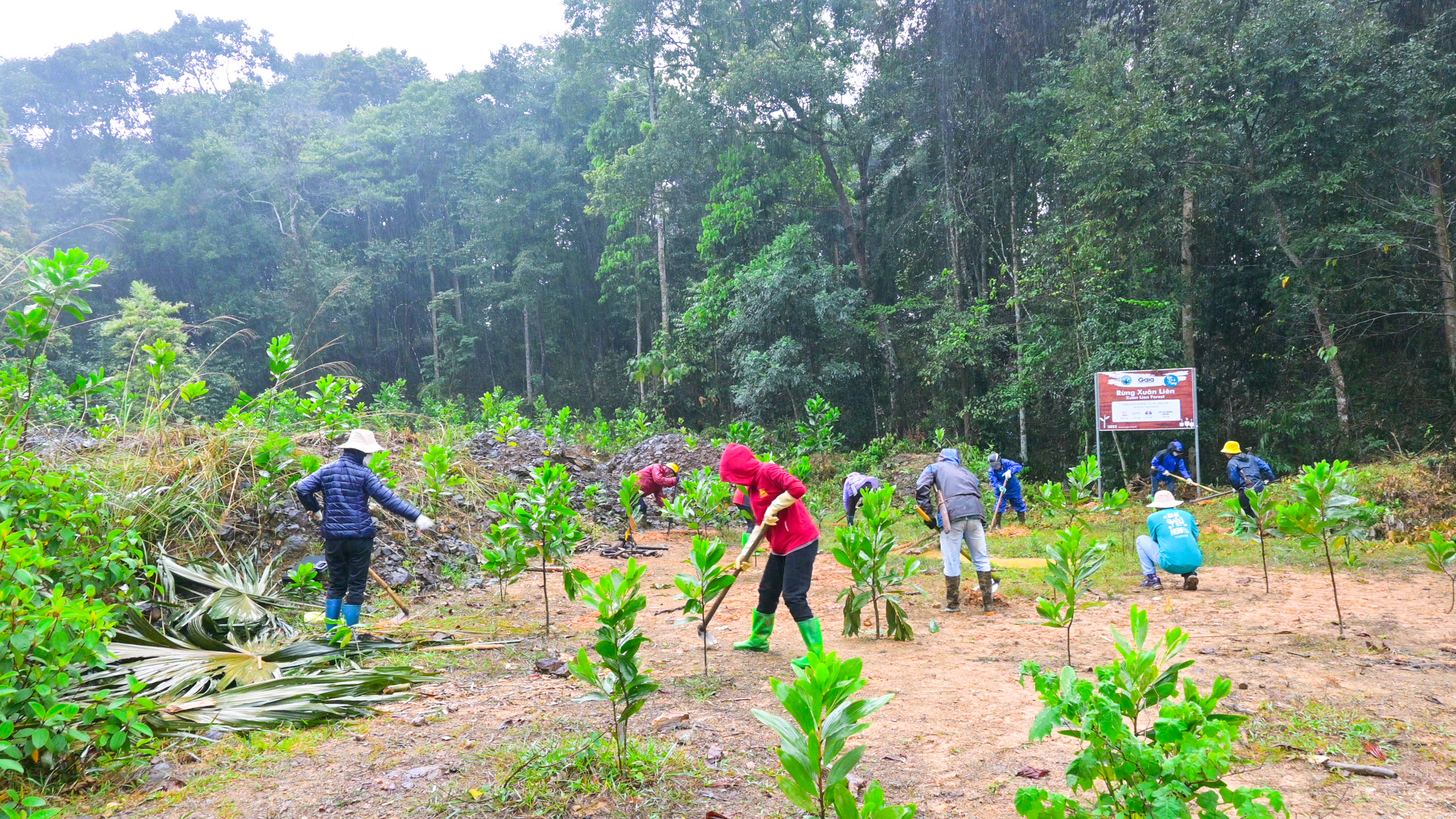 Nearly 20,000 trees planted to respond to climate change