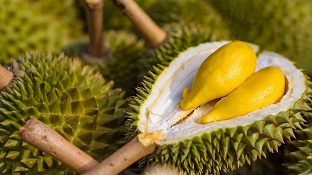 Durian to make breakthrough for Vietnam s fruit exports