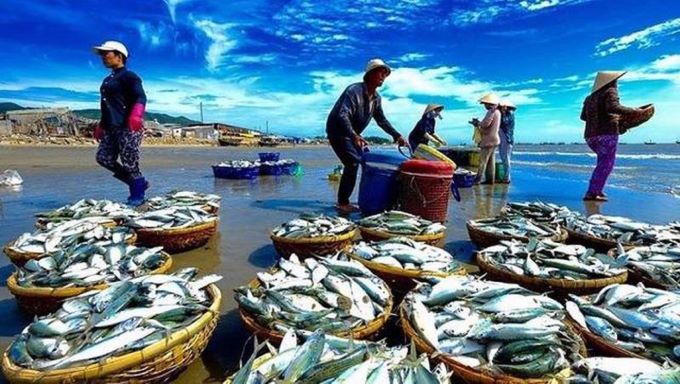 Export of agricultural, forestry and fishery products targets USD14 billion