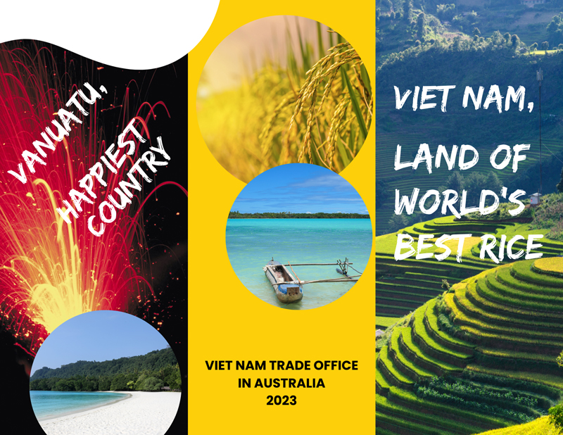 Ten containers of Vietnamese ST25 rice exported to Vanuatu