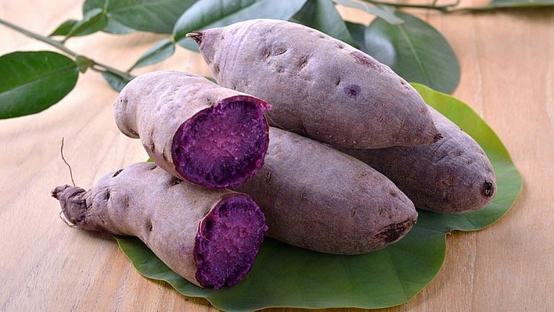 70 growing areas, 13 sweet potato packing facilities approved for export to China