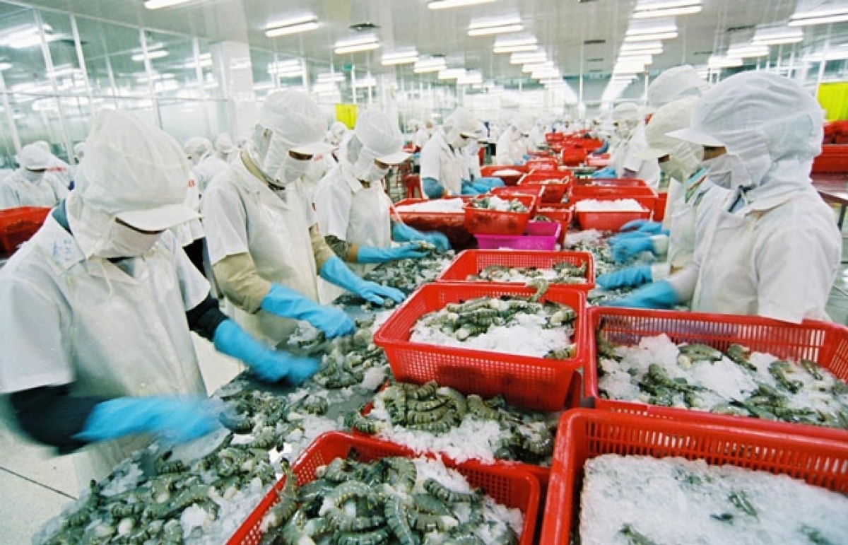 Vietnamese seafood secures firm foothold in Australian market