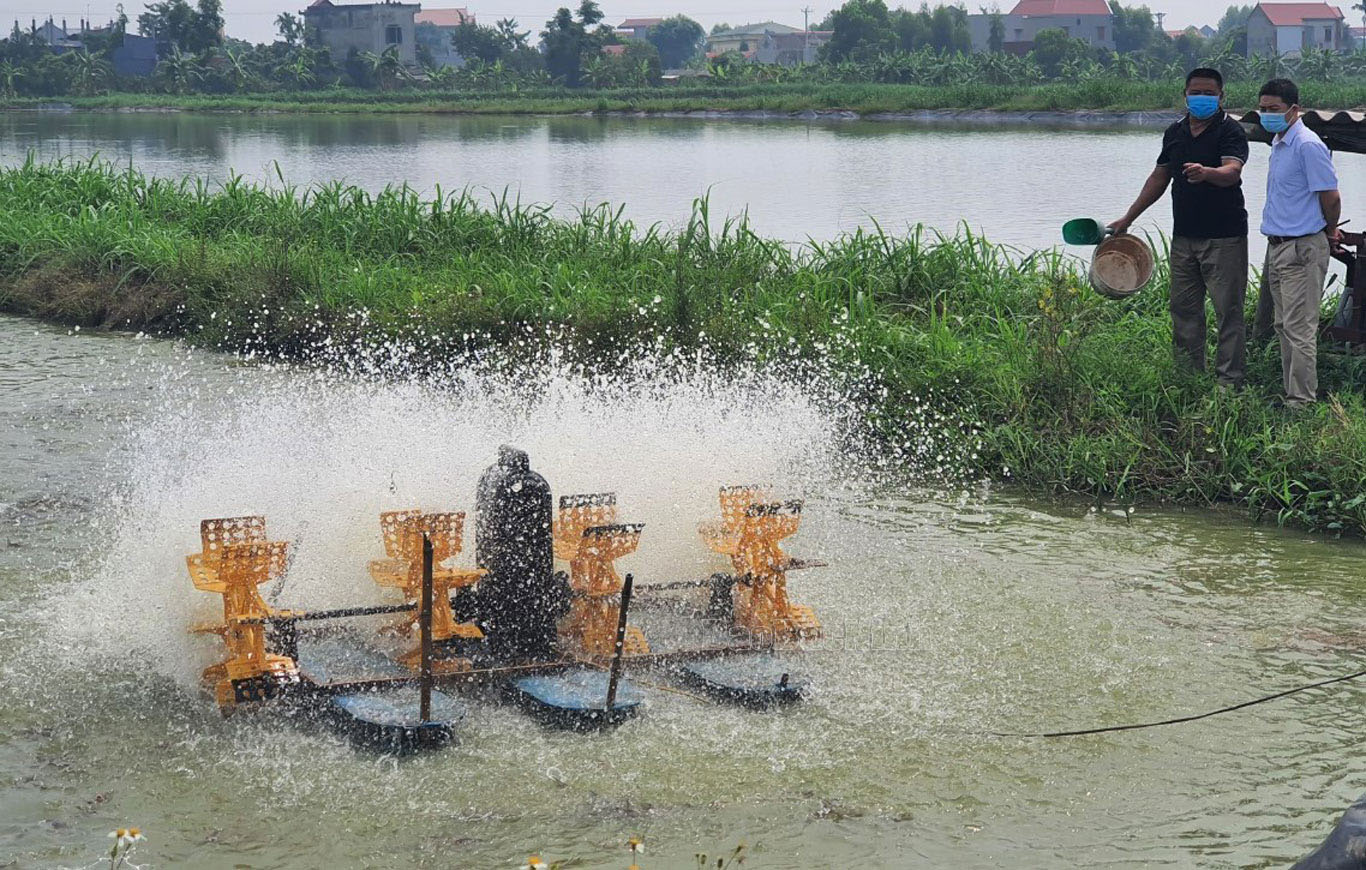 Northern province sees increase in seafood production