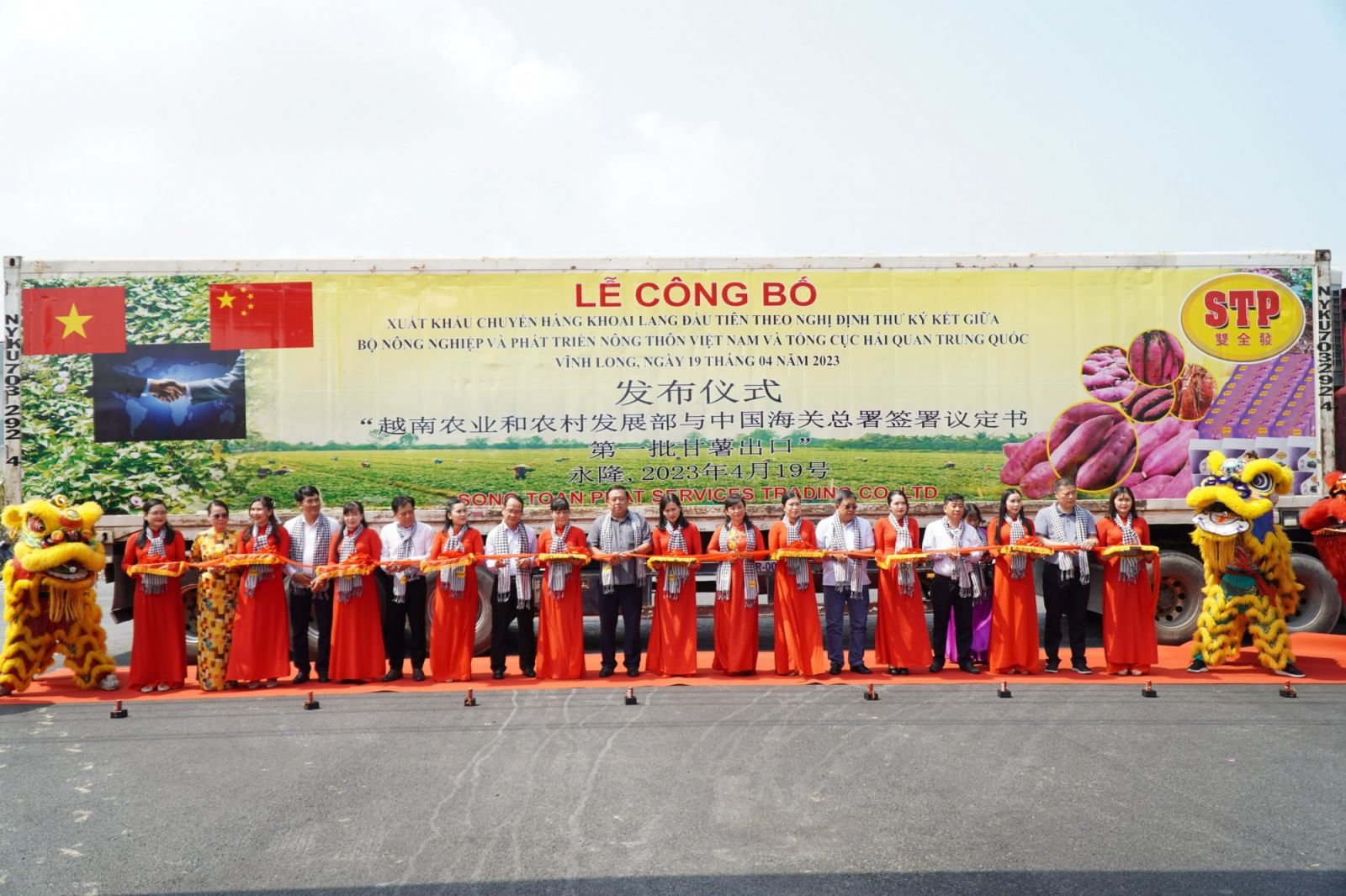Vinh Long’s first batch of sweet potatoes officially exported to China