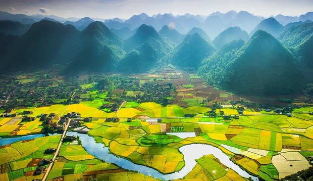 Over 1 2 million hectares of land remain unused in Vietnam