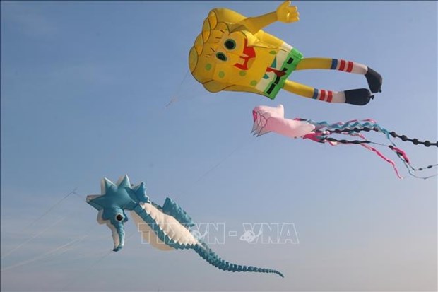 Binh Thuan Kite flying festival fascinates visitors