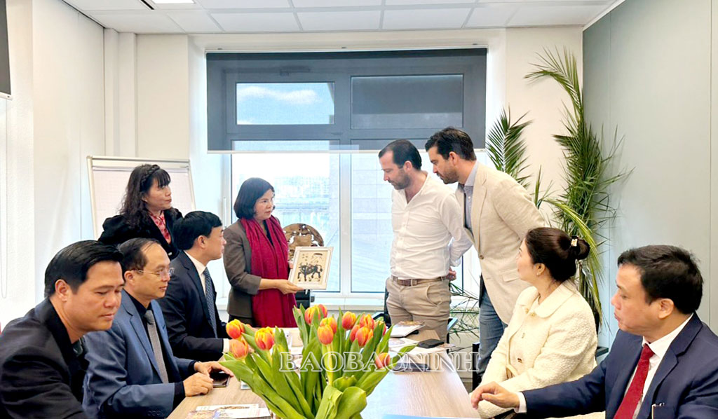 Bac Ninh leaders seek cooperation opportunities in Europe