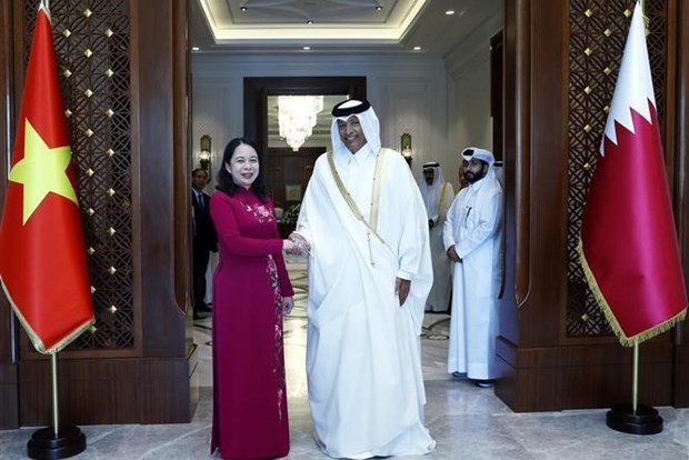 Vietnam looks to promote comprehensive cooperation with Qatar Vice President