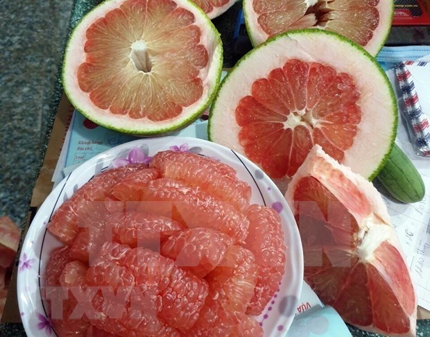Ninh Thuan s grapefruit receives code to export to US