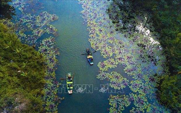 Vietnam’s culture, tourism sector takes actions to protect environment