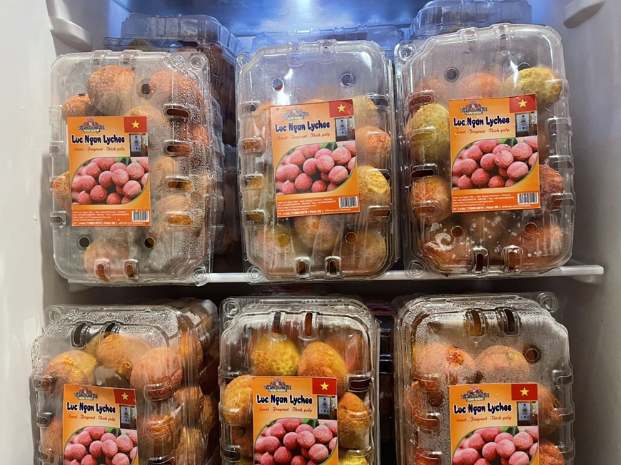 First batch of Vietnam s early ripening lychees exported to UK