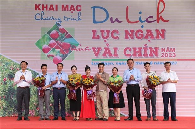 Programme promotes tourism in lychee harvest season in Bac Giang