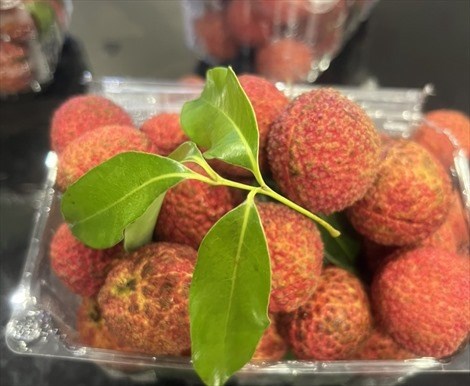 Vietnamese seedless lychees now available in UK market