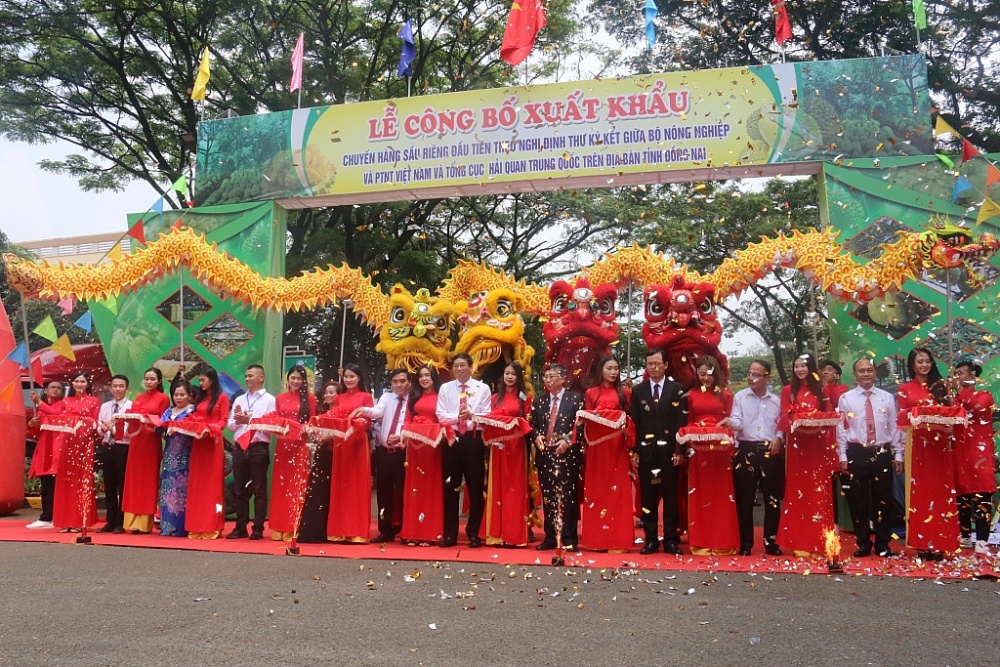Dong Nai’s first batch of durian exported to China