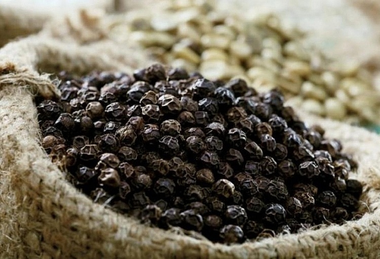 China continues to be main export market for Vietnam s pepper