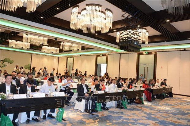 Workshop on Vietnam-Japan relations held in Da Nang