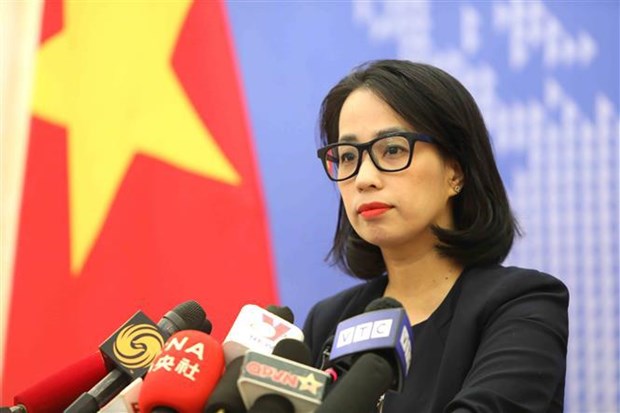 No Vietnamese citizens affected by unrest in France so far Spokeswoman