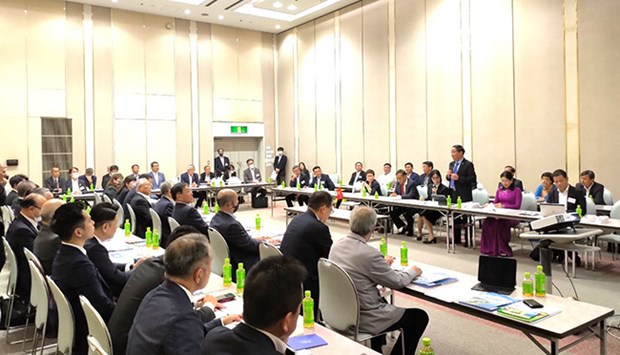 Binh Dinh province calls for more Japanese investment